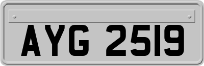 AYG2519
