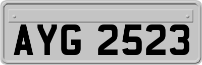 AYG2523