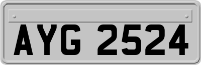 AYG2524