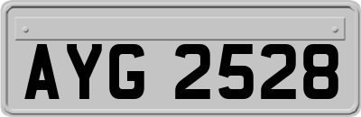 AYG2528
