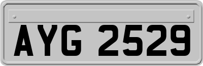 AYG2529
