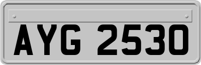 AYG2530