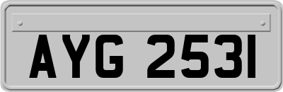 AYG2531