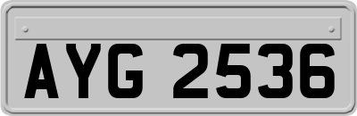 AYG2536