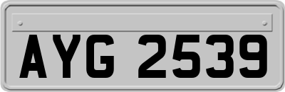 AYG2539