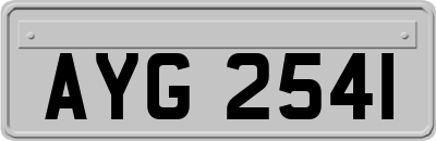 AYG2541