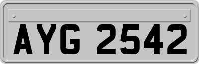 AYG2542