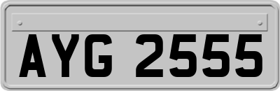 AYG2555