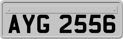 AYG2556
