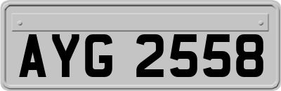 AYG2558
