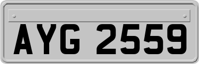 AYG2559
