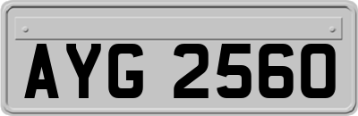 AYG2560