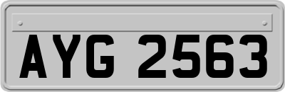 AYG2563