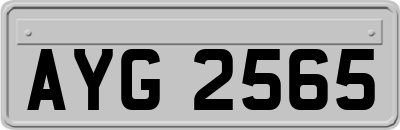 AYG2565