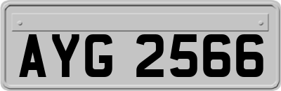 AYG2566
