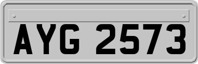 AYG2573