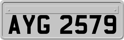 AYG2579