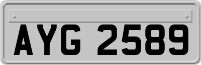 AYG2589