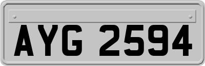 AYG2594