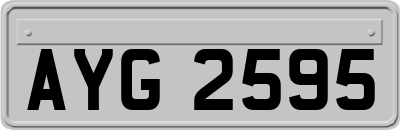 AYG2595