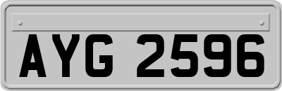 AYG2596