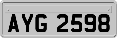 AYG2598