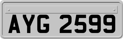 AYG2599
