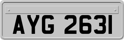 AYG2631