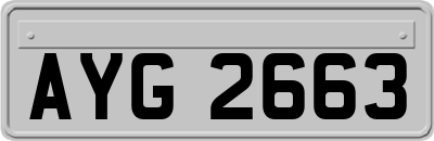 AYG2663