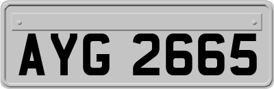 AYG2665
