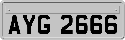 AYG2666