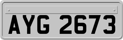 AYG2673