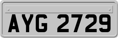AYG2729