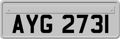 AYG2731