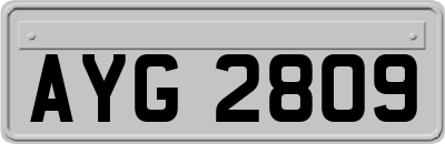 AYG2809