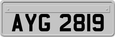 AYG2819