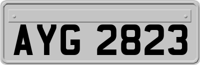 AYG2823