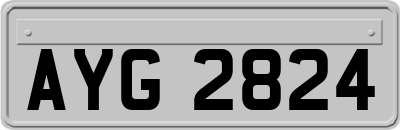 AYG2824