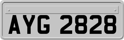 AYG2828