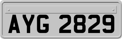 AYG2829