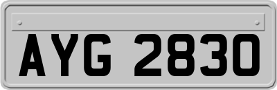 AYG2830