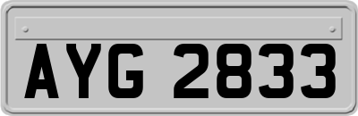 AYG2833