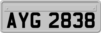 AYG2838