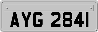 AYG2841
