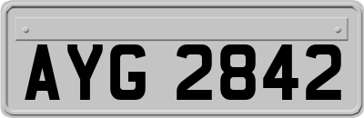 AYG2842