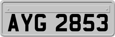 AYG2853