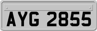 AYG2855