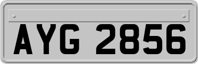 AYG2856