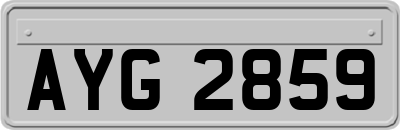 AYG2859
