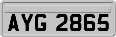 AYG2865